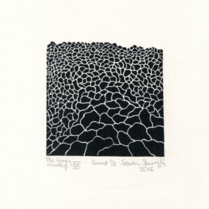 The Energy recording XIX