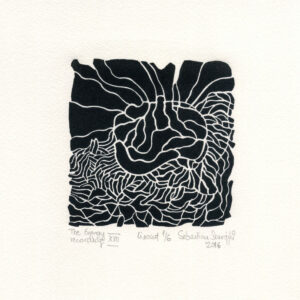 The Energy recording XVII