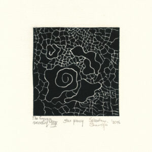 The Energy recording XXIX